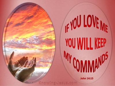 John 15:14